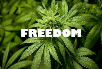 Stand Up for Cannabis - Stand Up for Freedom!