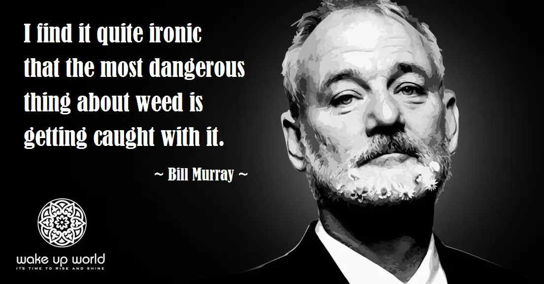 Stand Up for Cannabis - Stand Up for Freedom - Bill Murray - Ironic Most Dangerous Thing About Weed is Getting Caught