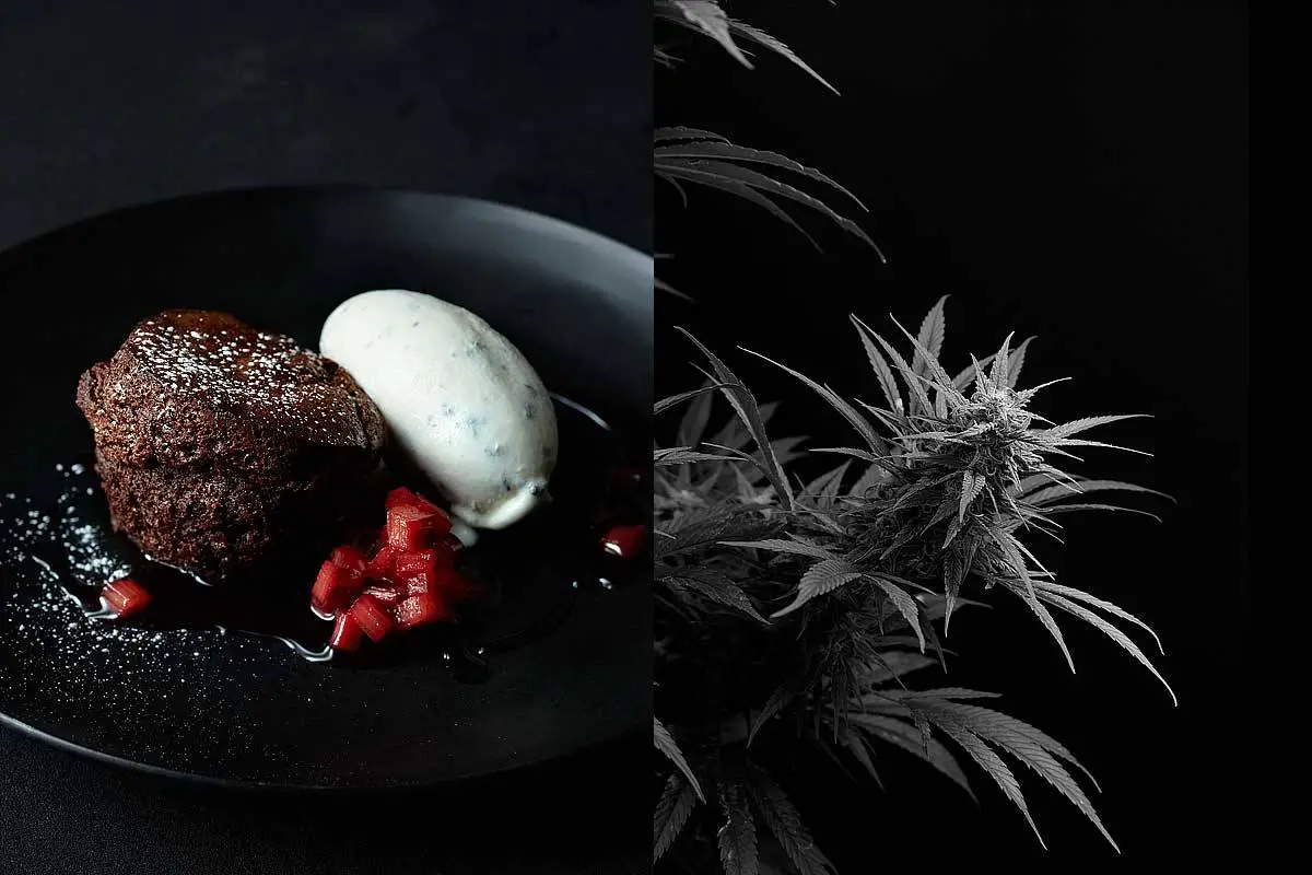 The Culmination of Culinary Cannabis Creations 1