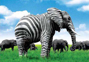 What If You Did Things Differently Today Wake Up World