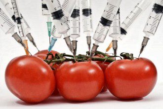 Genetically Modified Crops - The Trouble Is in the Soil - False Claims