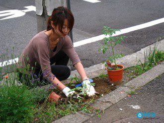 Guerrilla Gardening - Tokyo