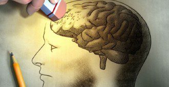 New Study Finds Fructose Alters Genes in the Brain, Sabotages Learning ...