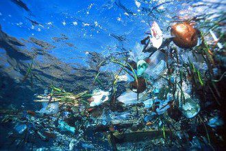 Plastic Waste in the Ocean Will Outnumber Fish by 2050