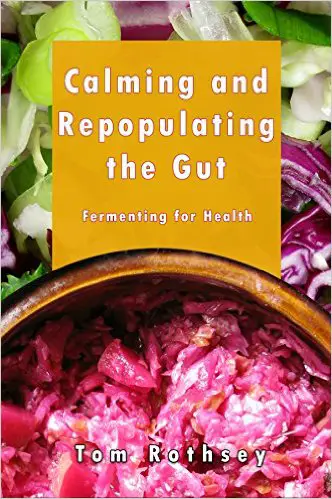 Calming and Repopulating the Gut - Fermenting for Health