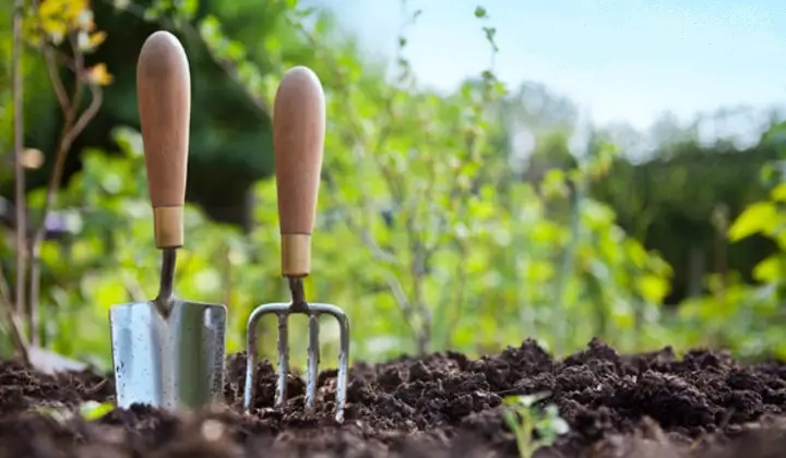 Farming Without Tools How a “No-Till” Method Can Grow Vegetable and Fruit Gardens Without ...