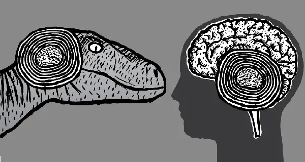 Scientists Discover Instinctive ''Reptilian'' Region of the Brain Directly Linked to Compassion, Happiness - FB
