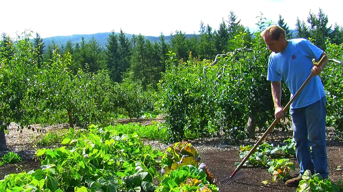 How a “No-Till” Method Can Grow Vegetable and Fruit Gardens Without Irrigation, Fertilizer or Grueling Labor