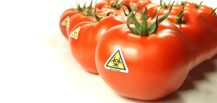 7 Things You Should Know About GMOs - fb2