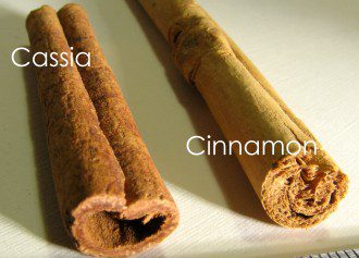 Cinnamon Enhances Memory, Improves Learning Ability And Can Reverse Parkinson's - Cassia (left) real Cinnamon (right)