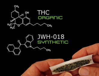 Synthetic Cannabis Extremely Dangerous Compared to Natural Marijuana, New Study Reveals 2