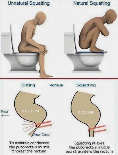 why-a-healthy-gut-is-essential-to-your-wellbeing-and-how-to-restore-it-figure-9-sitting-vs-squatting-on-toilet