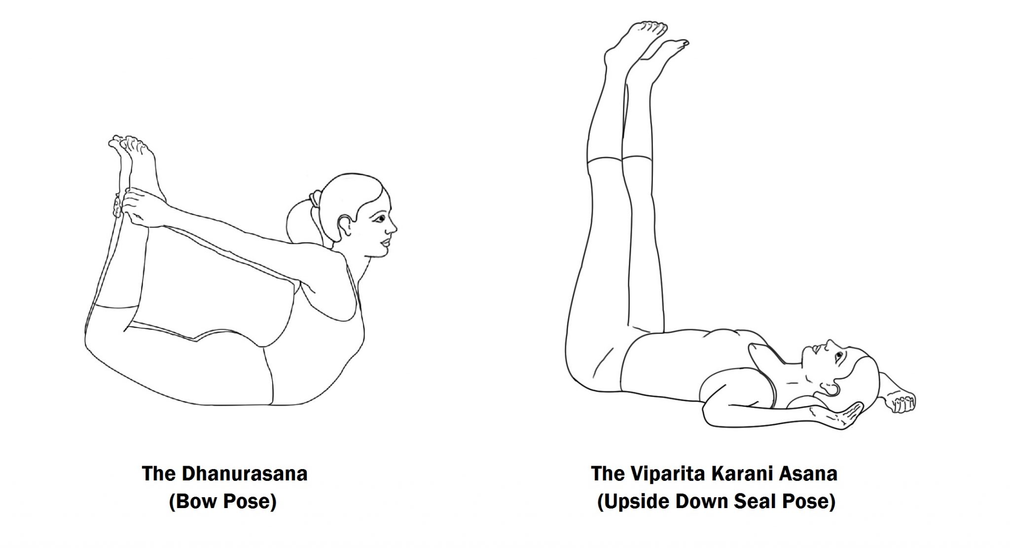 dhanurasana-bow-pose-and-viparita-karani-asana-upside-down-seal-pose