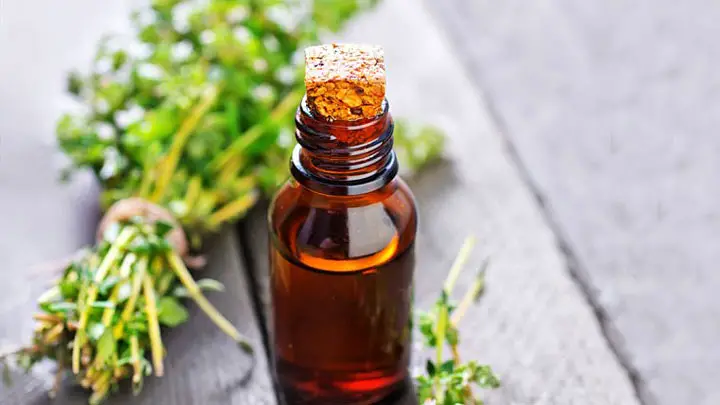 discover-thyme-oils-top-notch-health-benefits-fb