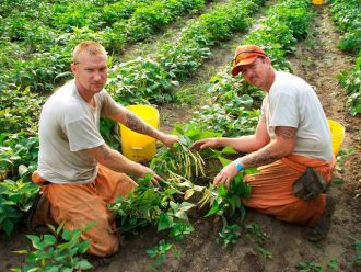 real-rehabilitation-the-benefits-of-organic-gardening-in-prisons-3