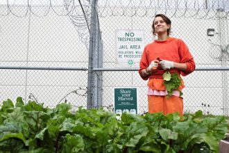 real-rehabilitation-the-benefits-of-organic-gardening-in-prisons