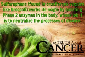 the-landmark-johns-hopkins-sulforaphane-cancer-study-your-doctor-isnt-telling-you-about
