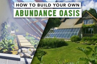 the-greenhouse-of-abundance-how-to-build-your-own-abundance-oasis
