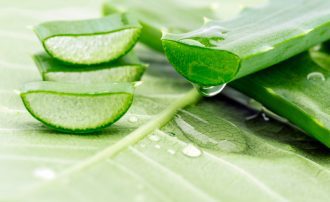 the-health-benefits-of-aloe-vera-and-how-to-make-your-own-moisturizing-spray-3