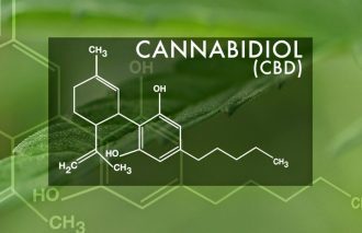 Latest Research on CBD Oil Offers New Hope for Healing Leaky Gut Syndrome and Autoimmune Disorders 1