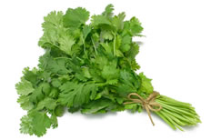 18 Spices Scientifically Proven To Prevent and Treat Cancer - 8 Coriander