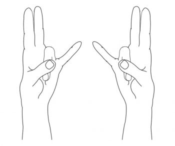 Reconnect Ancient Indian Holistic Wisdom Cause Obesity Weight - surya mudra