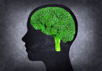 Broccoli Can Stimulate Brain Regeneration, New Research Suggests 1