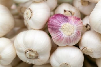 Research - Garlic is an Effective Natural Treatment for Heart Disease