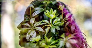 3 Spiritually Activating Herbs For Expanding Consciousness and Supercharging Health
