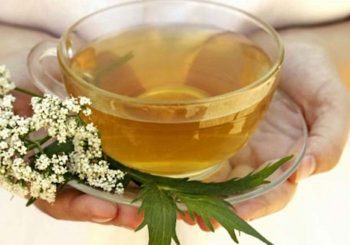 3 Wild Herbs for Lucid Dreaming - Valerian Tea