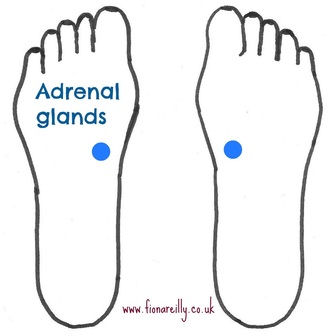 DIY Reflexology - Adrenal Gland