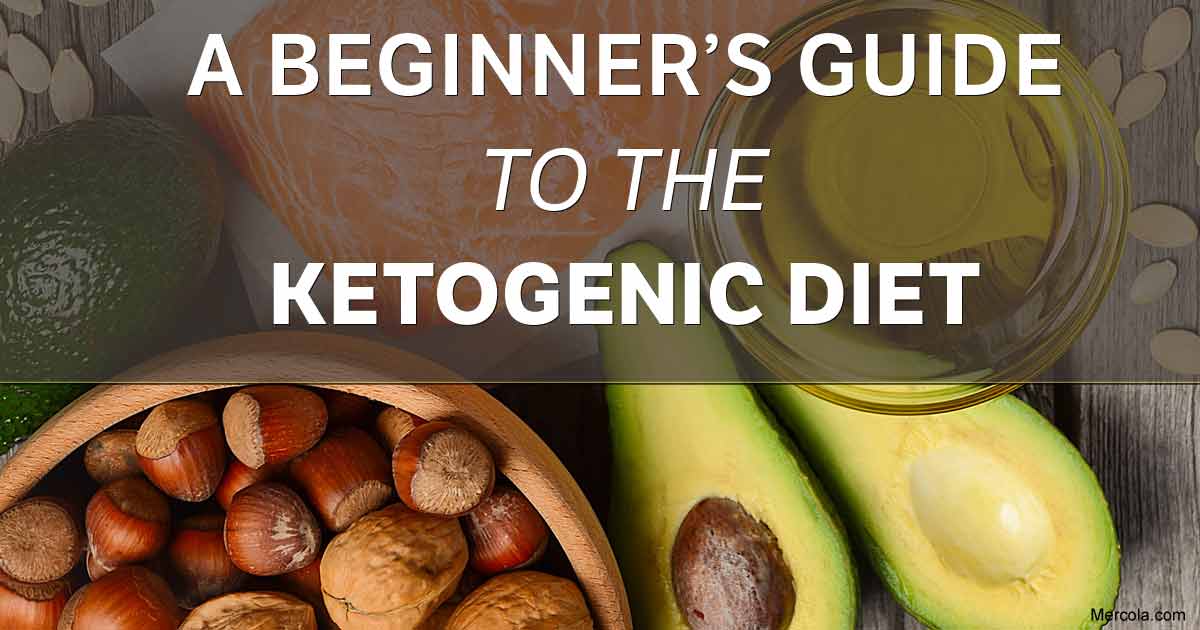 A Beginner’s Guide to the Ketogenic Diet: An Effective Way to Optimize ...