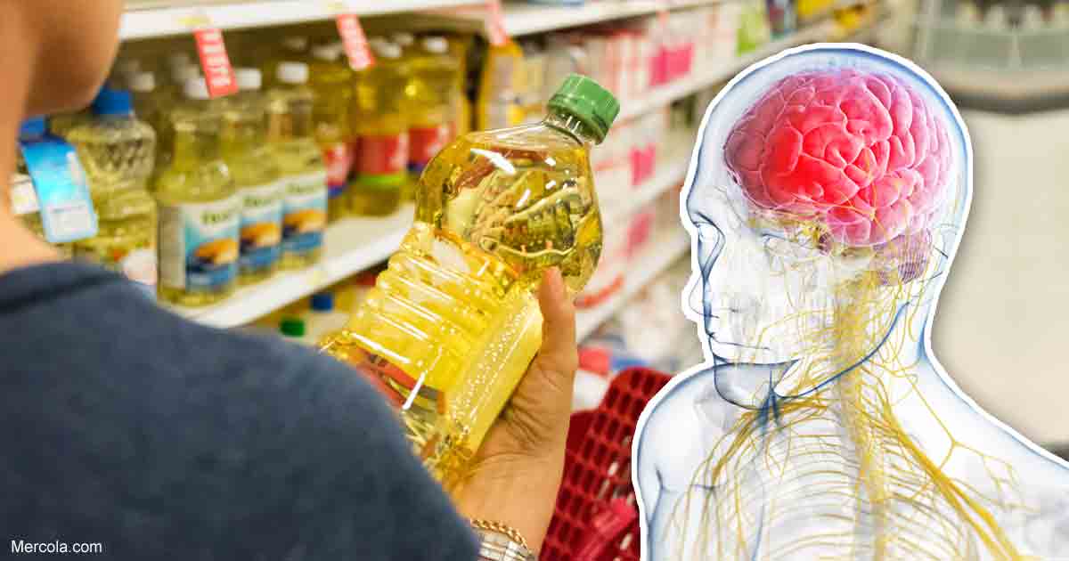 Canola Oil Proven Harmful to Your Brain and Body Wake Up World