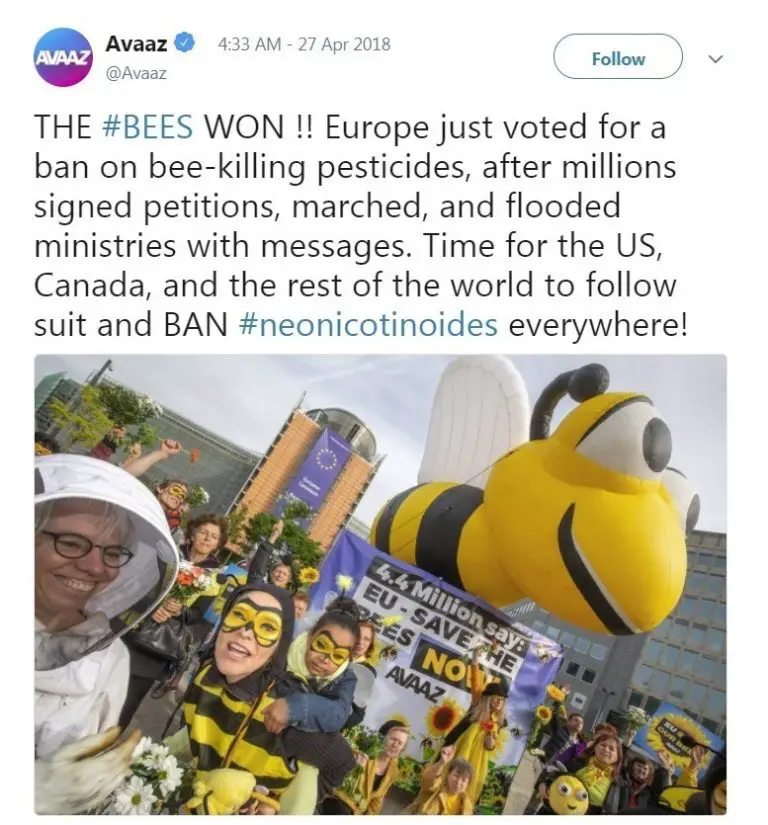 EU Bans Bee-Killing Pesticides In 'Huge Win For Pollinators, People ...