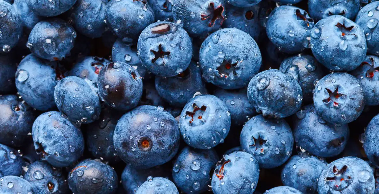 Research Radiotherapy Causes Cancer, Blueberry Kills It Wake Up World