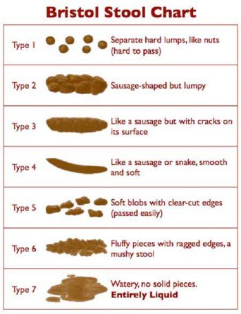 What Should Your Poop Look Like? | Wake Up World