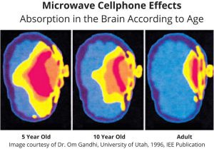 5G Danger: 13 Reasons New Millimeter Wave Tech Will Be a Catastrophe ...