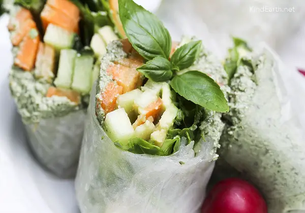 The Best Way to Make Spring Rolls (Rice Paper Wraps) | Wake Up World