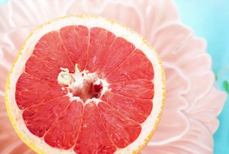 Grapefruit Seeds Treat AntibioticResistant UTIs Wake Up World