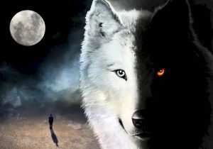 The Two Wolves Story (What it Really Means) | Wake Up World