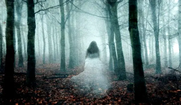 Encounters at the Time of Death: The Puzzle of “Crisis Apparitions”