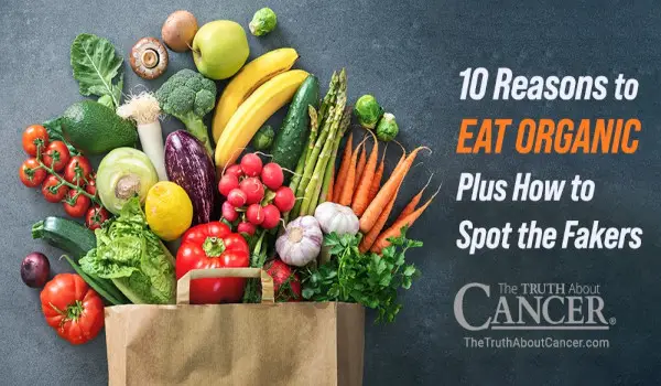 10 Reasons To Eat Organic How To Spot The Fakers