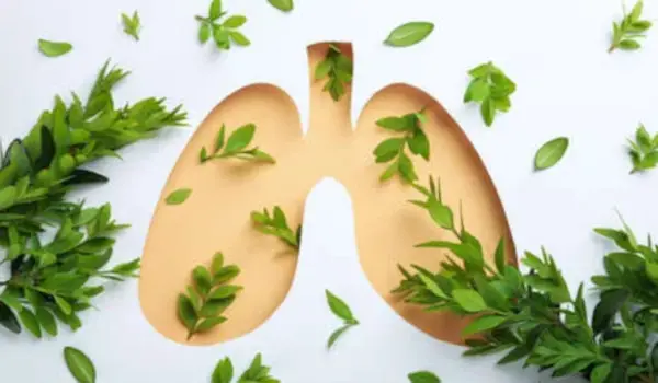 The 9 Best Herbs for Lung Cleansing and Respiratory Support