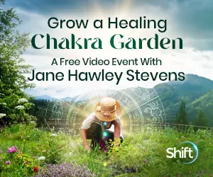 Chakra Garden